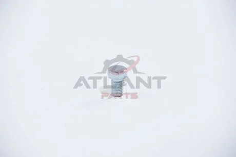 Пробка масляного поддона BMW 3/5/7/X5 82- (M12x1.5) Metalcaucho 00678