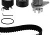 ROZRZAD KPL.Z POMPA CITROEN 1.4 03- 3009411 METELLI