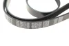 Ремінь генератора поліклиновий MEYLE 050 006 2120 (фото 4)