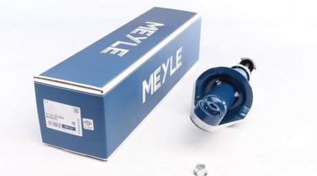 Амортизатор MEYLE 31-26 725 0002