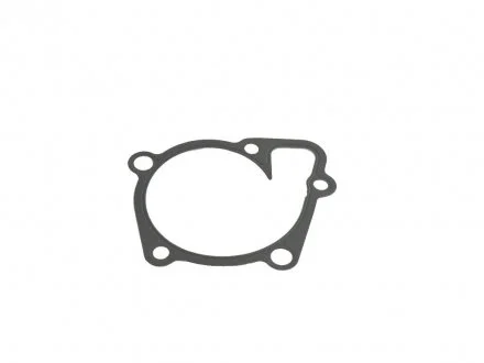 Прокладка помпы Mopar 68046028AA