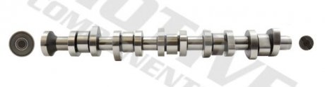 Розподільний вал, 2.5TDI (BNZ/BPC) 03-10 MOTIVE T069S