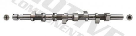 WALEK RENAULT ROZRZADU 1,9DCI MOTIVE T1016