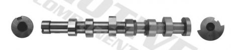 MOTIVE T2186