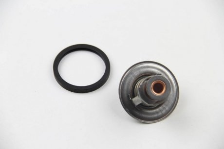 Термостат Opel Combo/Astra G/H/Corsa C 1.7 DTI/CDTI 00- (89 C) MOTORAD 227-89