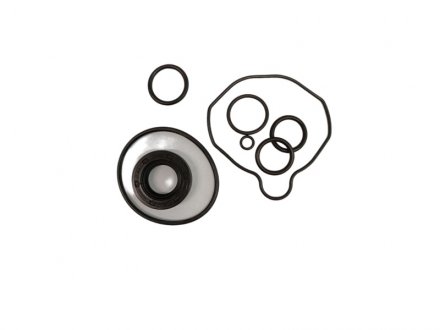 Ремкомплект насоса ГУР Geo Storm, Hyundai Getz, Hyundai Grandeur MSG KI8001KIT