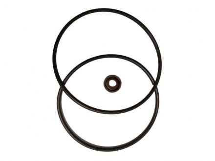 Ремкомплект насос ЕУГР MSG PE8101KIT