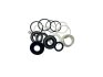 Фото 1 - р-кт рулевой рейки с ГУР VW Sharan 96- MSG VW 9005KIT Р-кт рулевой рейки с ГУР VW Sharan 96- MSG VW 9005KIT (фото 1)