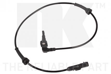 NK 293965