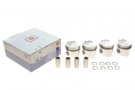 Поршень NPR 130 096 0032 00