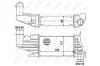 Інтеркулер NRF 30258 (фото 5)