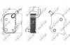 Фото 5 - масляний радіатор AUDI A4 B6, A4 B7, A6 C5, VW PASSAT B5.5 2.0 11.00-06.08 NRF 31237 Масляний радіатор AUDI A4 B6, A4 B7, A6 C5, VW PASSAT B5.5 2.0 11.00-06.08 NRF 31237 (фото 5)