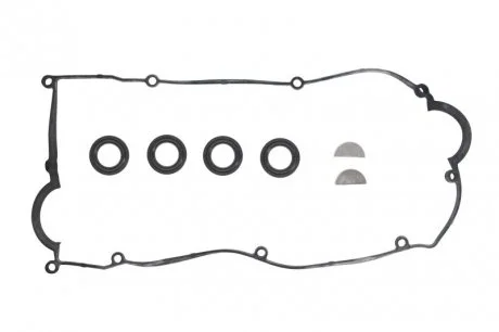 Набір прокладок клап.кришки Payen HM5374