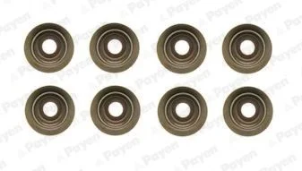 Набір прокладок, стержень клапана Payen HR5046