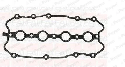 Прокладкa Payen JM7122