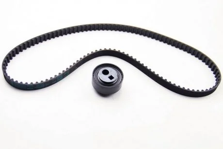 Набор ГРМ Peugeot/Citroen 0831R1