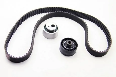 Комплект ГРМ Scudo/Jumpy/Berlingo/Partner 1.9D (DW8) 98- Peugeot/Citroen 0831R7