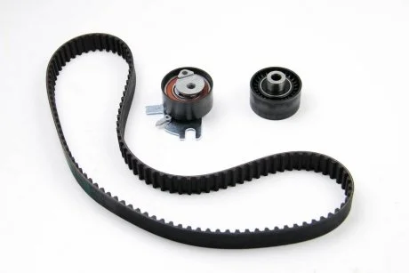 Набір ГРМ Peugeot/Citroen 0831T5