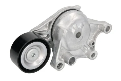 Ролик натягувача Peugeot/Citroen 1611503780