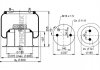 Пневмоподушка PHOENIX 1DF20C4 (фото 1)