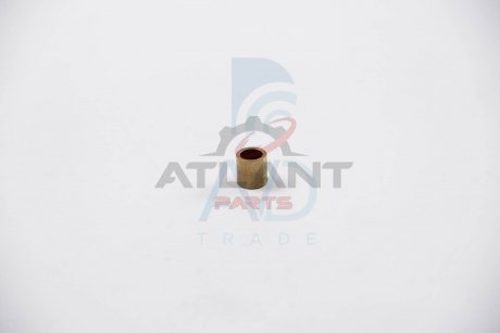 Втулка стартера (9,6 mmх10 mm) POWERMAX 81011215