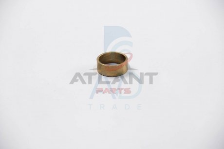 Втулка стартера (22,05 mmх9 mm) POWERMAX 81011335