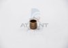 Втулка стартера (17,5 mmх19 mm) POWERMAX 81012123 (фото 1)