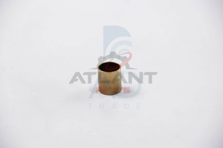 Втулка стартера (16 mmх18 mm) POWERMAX 81013917