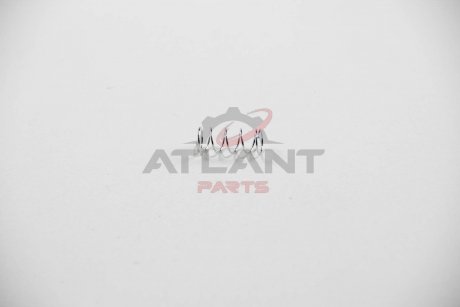 Пружина щеткодержателя стартера 25.5 mm 10.3 mm POWERMAX 81015618