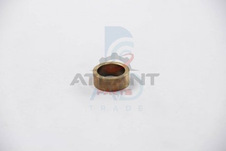 Втулка стартера (25,09 mmх10 mm) POWERMAX 81016228