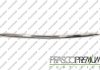 Облицовка / защитная накладка PRASCO TY3541245 (фото 1)
