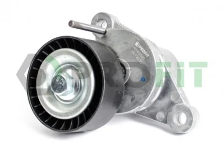 Ролик модуля натягувача ременя PROFIT 10143592