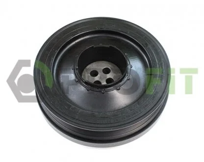 Шків ременя генератора PROFIT 10149939