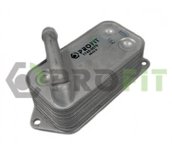 Радіатор масляний PROFIT 17450079