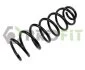 Пружины подвески PROFIT 20102099 (фото 1)