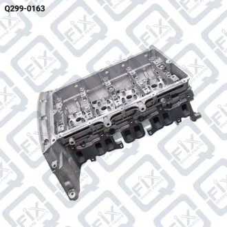 ГОЛОВКА БЛОКА ЦИЛИНДРОВ (ГОЛАЯ) Q-fix Q299-0163