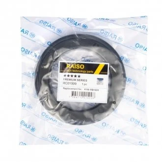 Фото підшипник опори амортизатора MICRA/NOTE/CLIO/KANGOO 2003- Raiso RC01509 Підшипник опори амортизатора MICRA/NOTE/CLIO/KANGOO 2003- Raiso RC01509