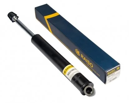 Амортизатор передній Smart 98-07 (газ,) Raiso RS310015
