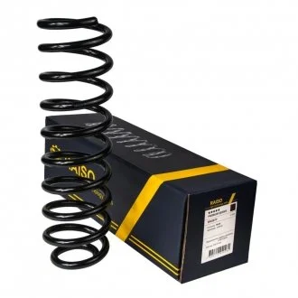 Пружина задня Audi 80 91-95 Raiso SR028TP