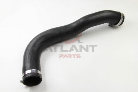 Патрубок інтеркулера Transit 2.4DI/TDCI 00- (длинный) Rapro R16274