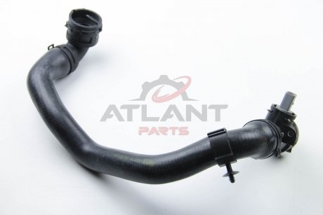 Патрубок радіатора Audi A3/Golf/Jetta 2.0 04- (нижн.) Rapro R25574