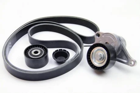 Комплект ремня генератора 7PK1685 Trafic 2.0dCi 06-/Master 2.3dCi 10- (нат ус-во 117507568R + ролик 8200518424) RENAULT 117209389R