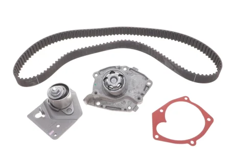 Набір ГРМ RENAULT 119A01812R