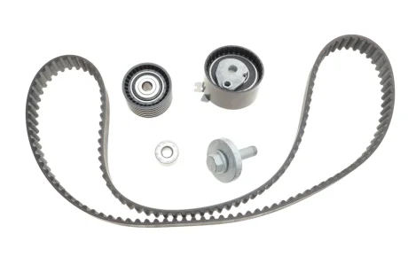 Ремк-кт ГРМ 1.6 16V Megane III, Laguna III, Fluence RENAULT 130C13191R