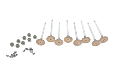 Клапан впускний ГБЦ RENAULT 7701476596