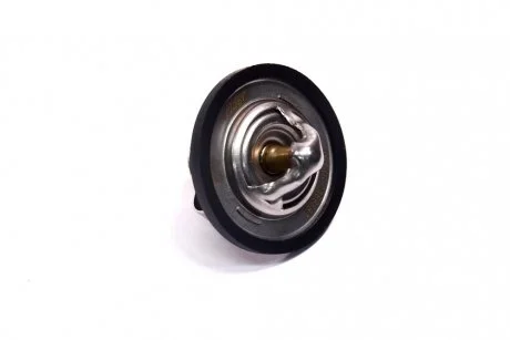 Фото термостат DAEWOO LANOS, CHEVROLET LACETTI, CHERY AMULET (вставка) RIDER RD1517489887 Термостат DAEWOO LANOS, CHEVROLET LACETTI, CHERY AMULET (вставка) RIDER RD1517489887