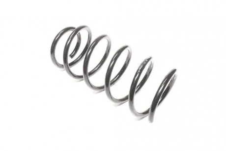 Пружина подв. DAEWOO NUBIRA 05- задн. RIDER RD28110015