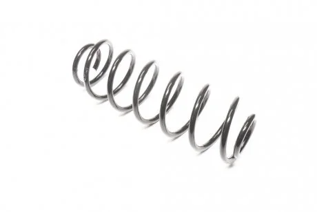 Пружина подв. FORD FIESTA 01-08 задн. RIDER RD28110079