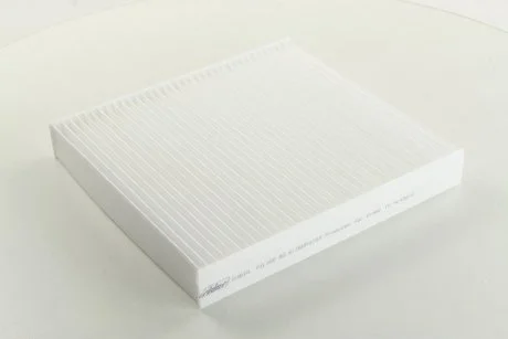 Фильтр воздуха (салона) NISSAN X-TRAIL 01- RIDER RD61J6WP9294