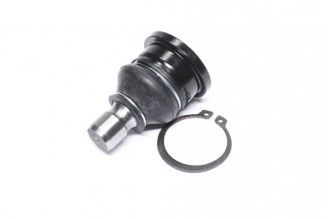 Опора кульова FORD FIESTA VI, B-MAX 08- RIDER RD.99351737309